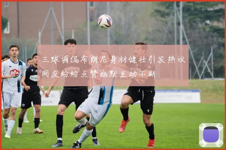 三球调侃布朗尼身材健壮引发热议网友纷纷点赞幽默互动不断