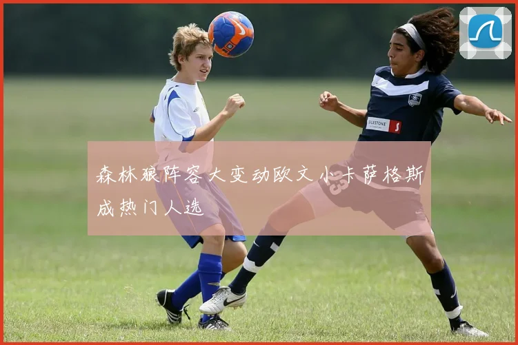 森林狼阵容大变动欧文小卡萨格斯成热门人选