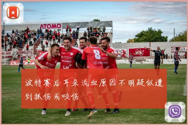 波特赛后耳朵流血原因不明疑似遭到抓伤或咬伤